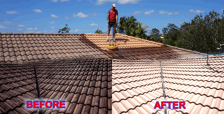 Roof Cleaning Sunshine Coast 